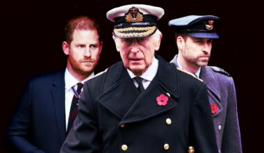 King Charles-Prince Harry Thaw Begins But William Will Never Forgive