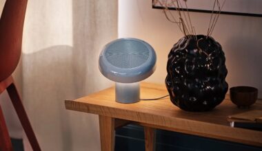 Ikea Blomprakt speaker