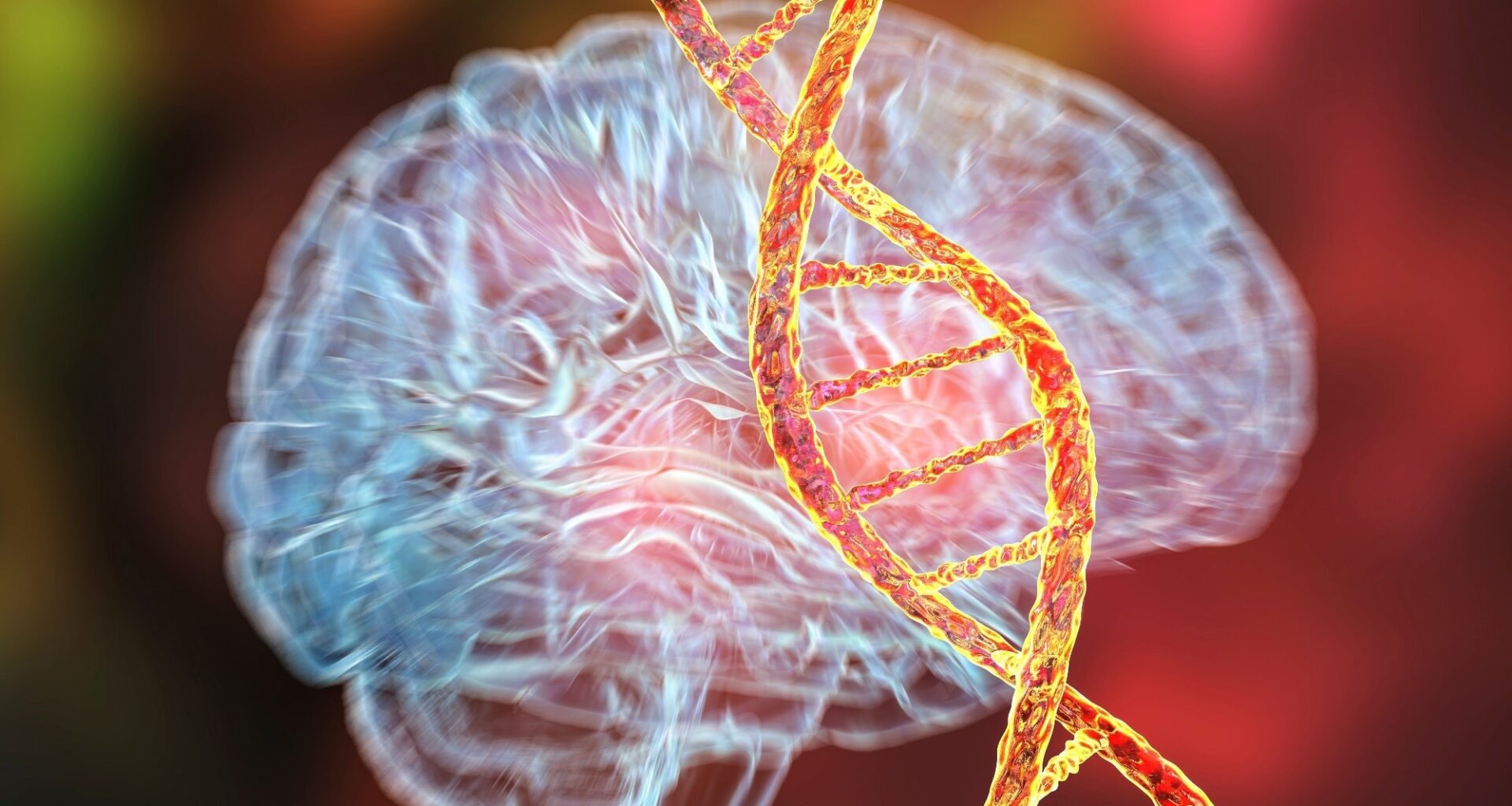 Genetic brain disorders, conceptual 3D illustration.