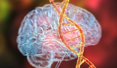 Genetic brain disorders, conceptual 3D illustration.