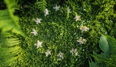EU sustainability commitments: Are they declining?