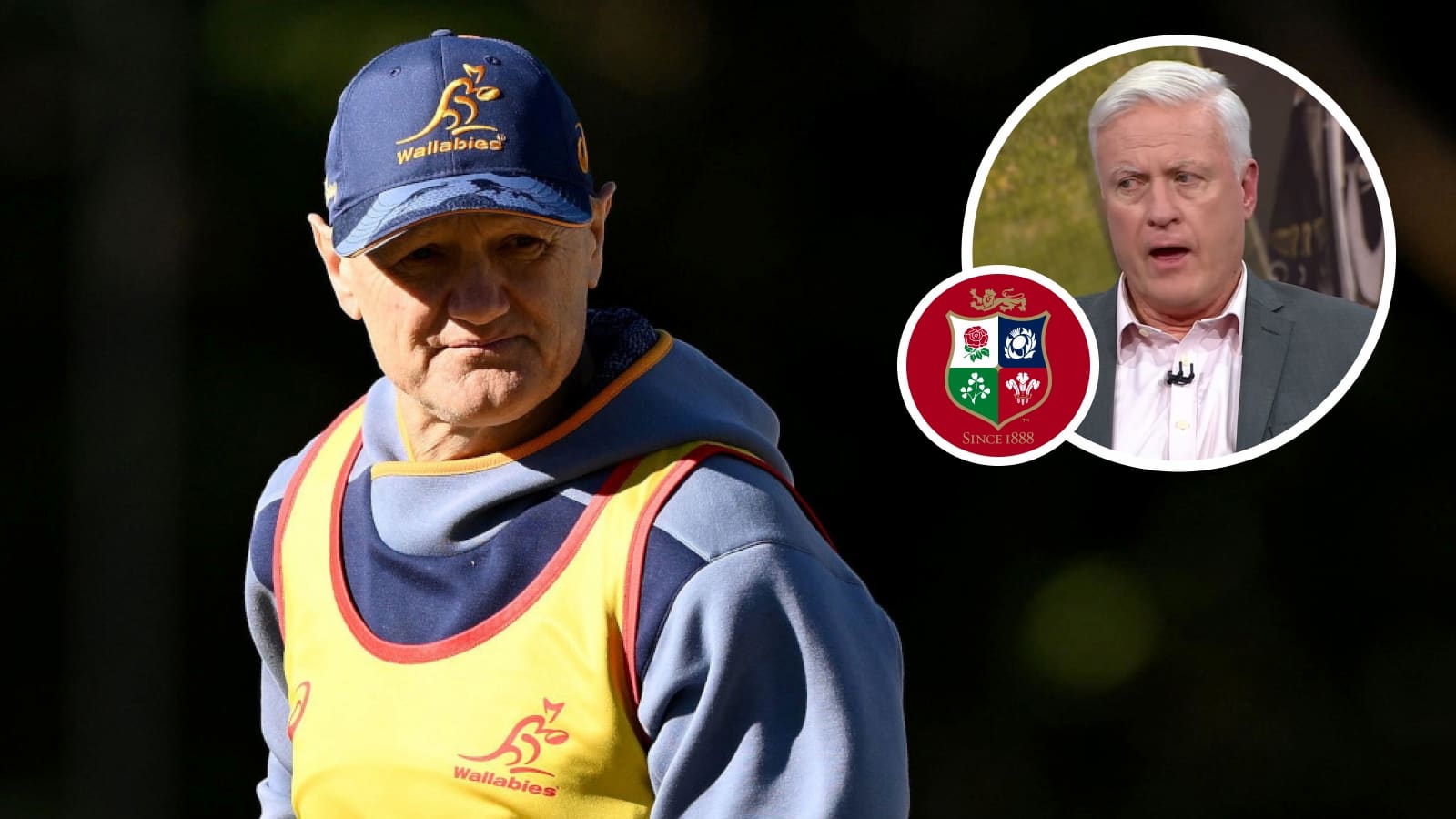 Matt Williams slams 'ignorant' British & Irish Lions over Schmidt criticism : Planet Rugby
