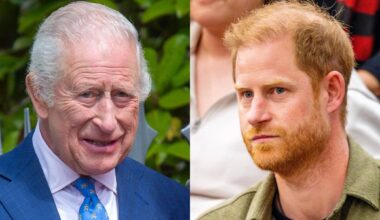 King Charles Reportedly 'Wary' As Prince Harry Pursues Royal Reconciliation