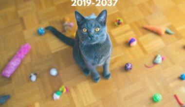 Germany Pet Toys Market Expands with Smart Trends 2019 to 2037