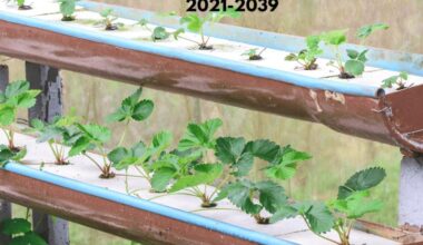 Urban Farming Drives Germany Hydroponic Market Expansion 2021-2039