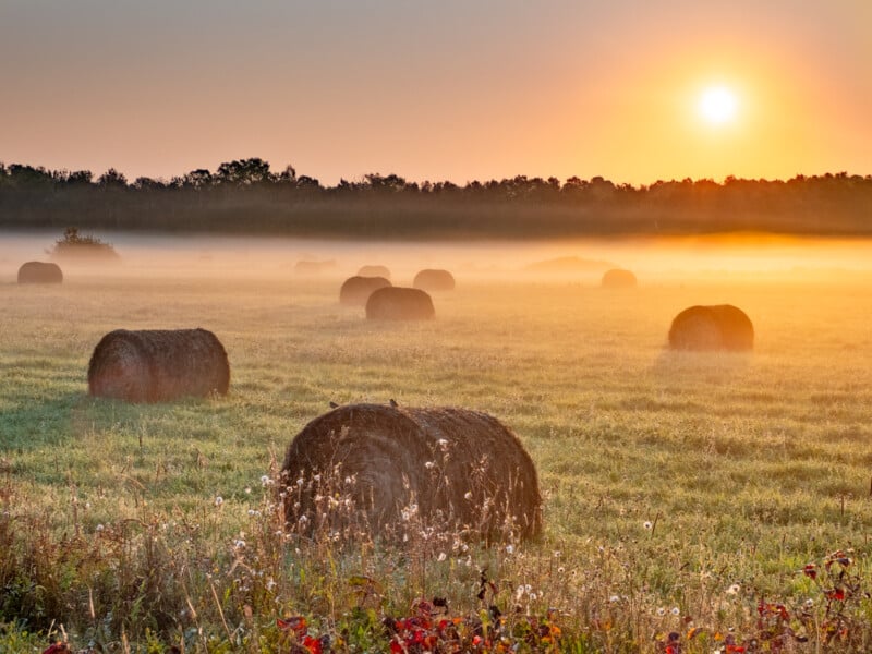 Round hay bales scattered across a dewy field at sunrise, with mist hovering over the grass and trees silhouetted against the orange sky.