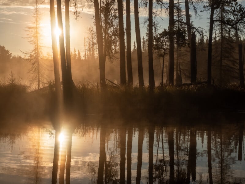 Sunrise shines through tall trees beside a calm lake, casting reflections and a warm golden mist over the water and landscape.