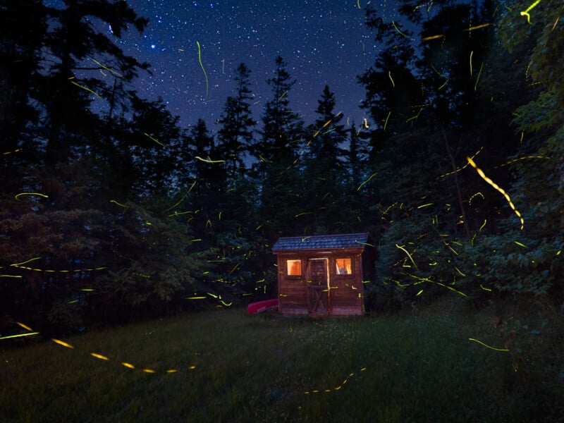 A small wooden cabin with lit windows sits in a forest clearing at night, surrounded by trees and illuminated by glowing trails of fireflies under a starry sky.