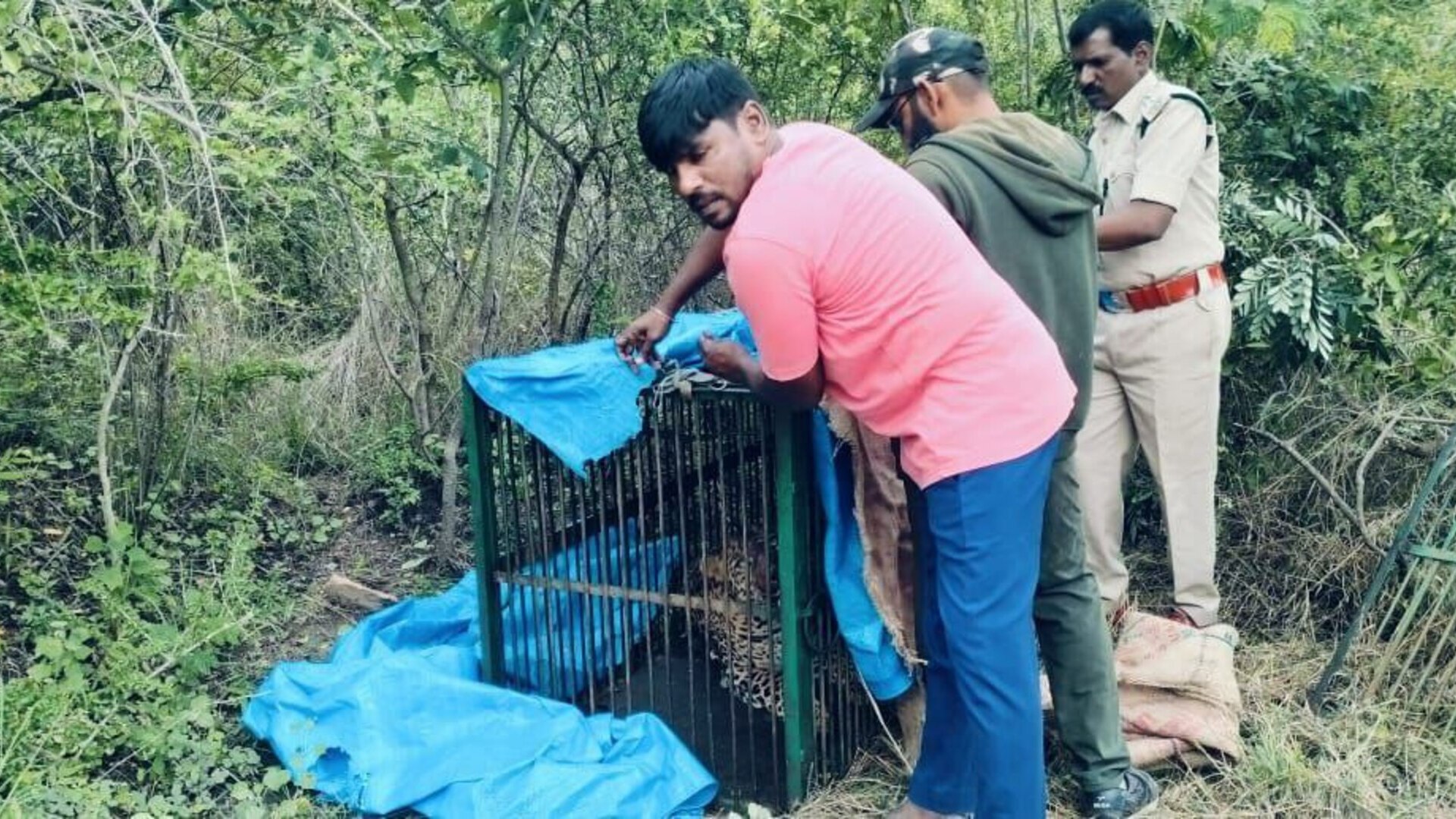 Leopard captured near Hyderabad