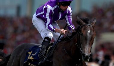 Aidan O’Brien’s Group One strike rate now threatening own world record – The Irish Times