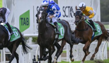 Miss Joelene - ANZ Bloodstock News