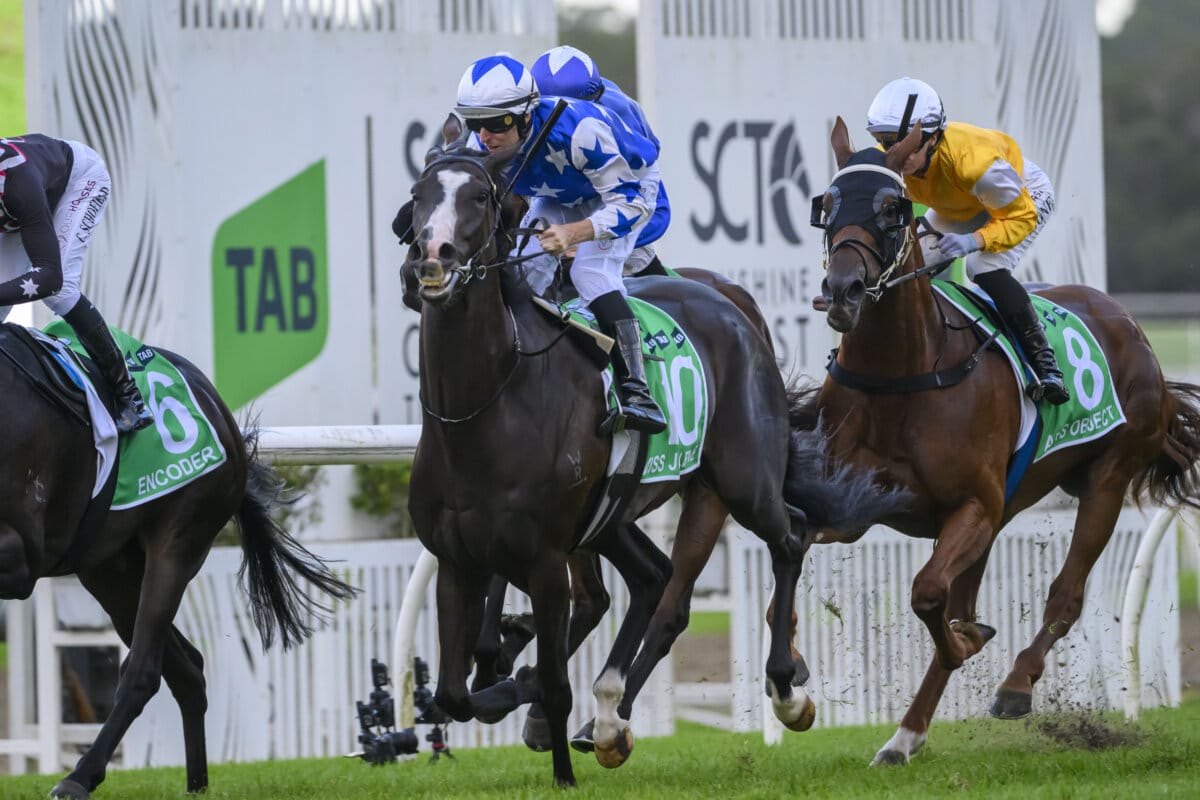 Miss Joelene - ANZ Bloodstock News