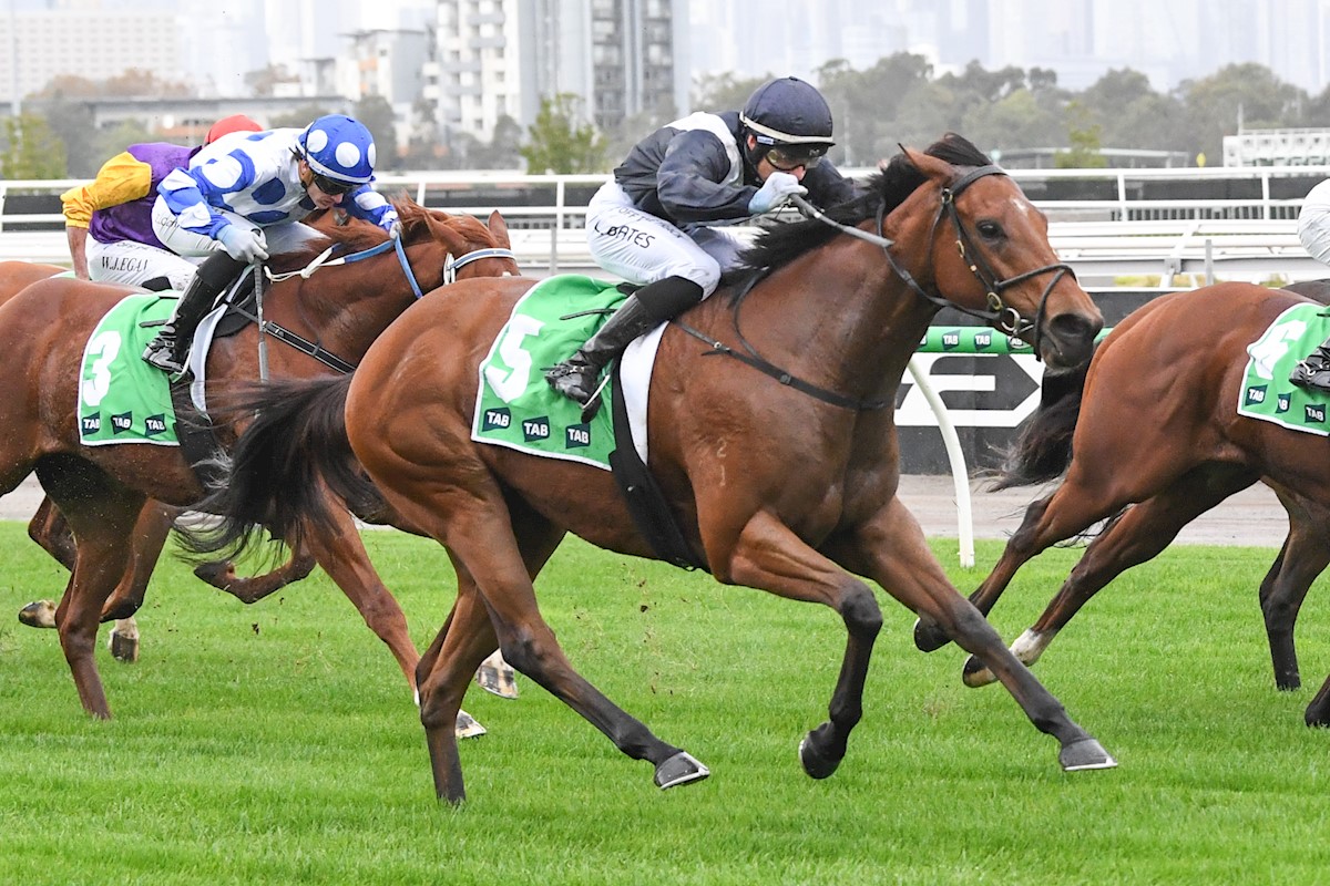 Kennewell and Yeomans eye dual-state stakes tilt