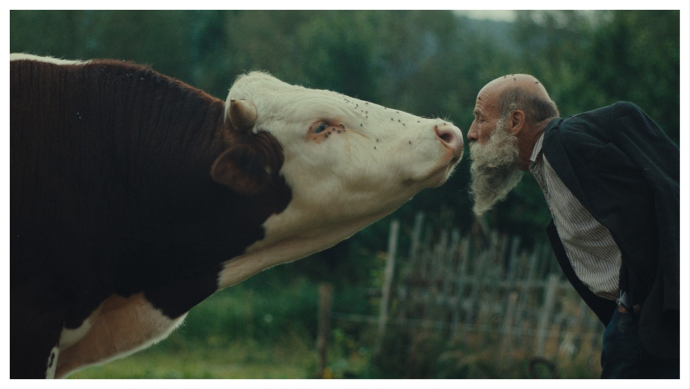 Frantisek and Ondrej Klisik in ‘Better Go Mad in the Wild’