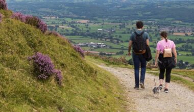 Wrexham.com for people living in or visiting the Wrexham area