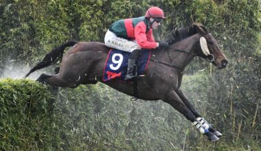 Brosnan stable stars with jumping double at waterlogged Te Rapa