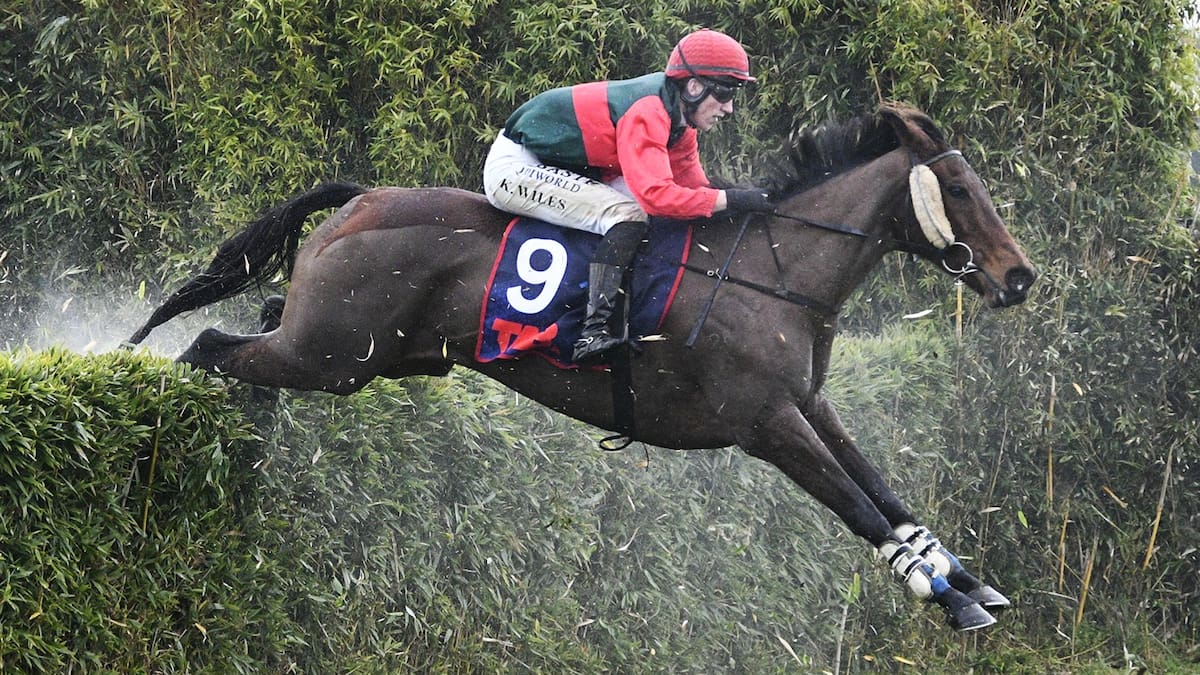 Brosnan stable stars with jumping double at waterlogged Te Rapa