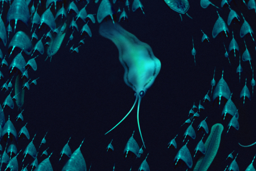 July: Ancient squid mystery solved | News and features
