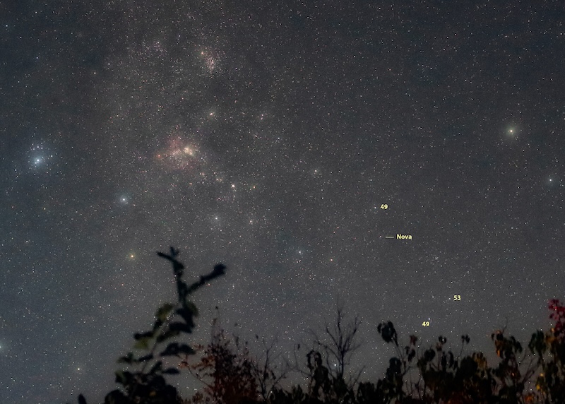 Starry sky annotated with the nova in Vela and comparable stars with magnitude.