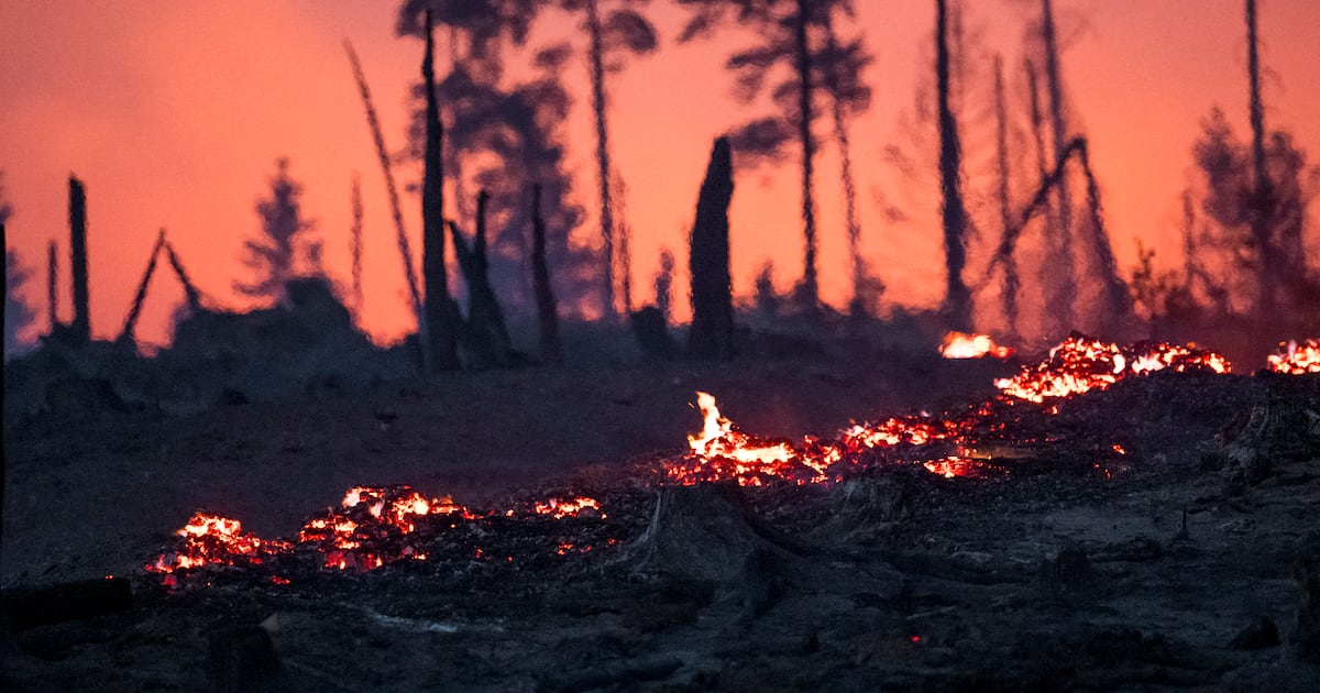 Firefighters injured tackling wildfires in eastern Germany – The Irish News