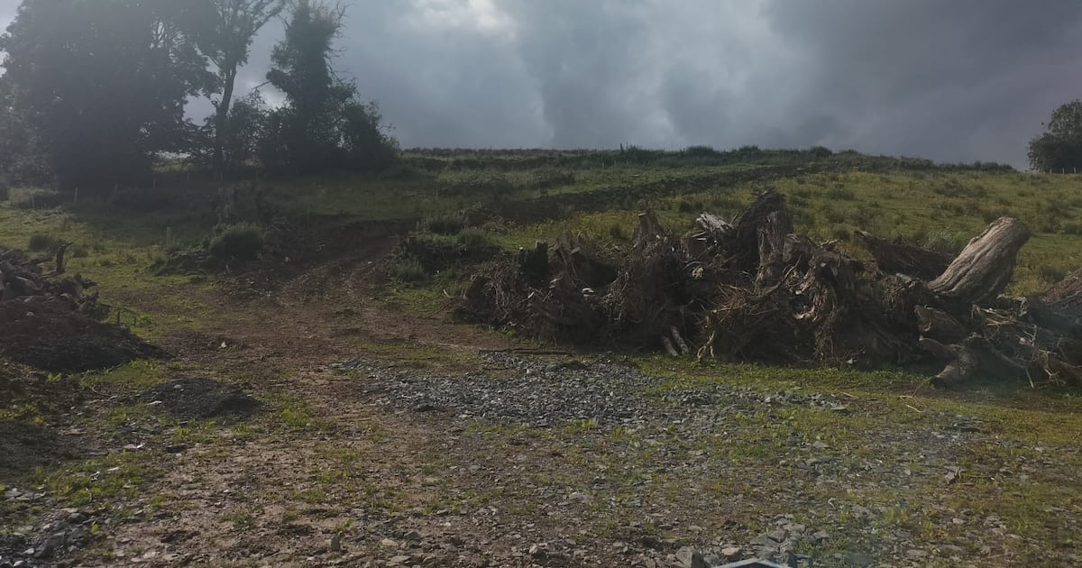 Farmers vested land for new A5 to be given back – The Irish News