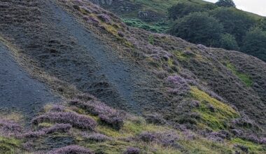 Westminster should be paying to clear Wales' coal tips