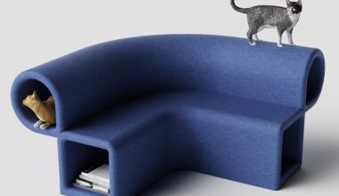 Top 5 Essential Tips And Designs To Help Raise Happy Pets For First Time Pet Parents