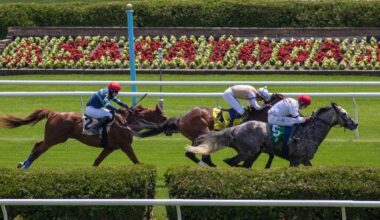ABR Sunday Selections: Full-Card Picks for July 6 at Saratoga