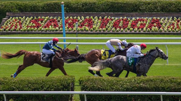 ABR Sunday Selections: Full-Card Picks for July 6 at Saratoga