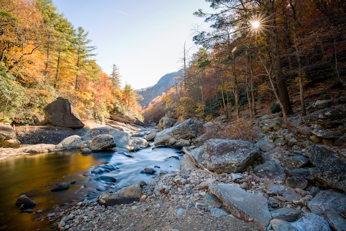 Fall Colors seen from Linville Gorge Wilderness in North Carolina