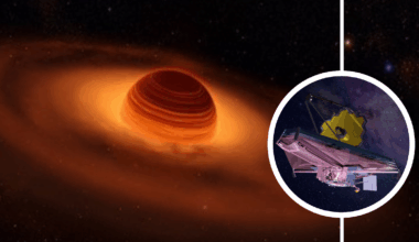 An illustration of a planetary system developing around a free floating rogue planet