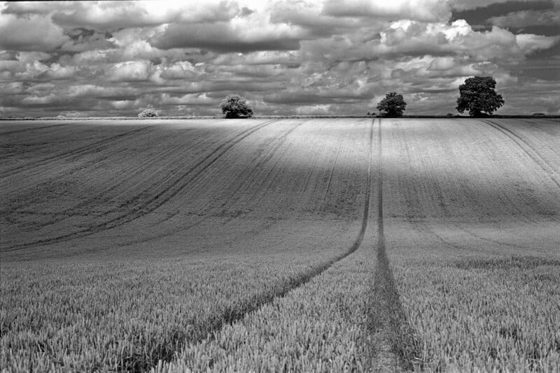 A black-and-white photo of a gently sloping field with tractor tire tracks leading into the distance, under a dramatic cloudy sky and a few isolated trees on the horizon.