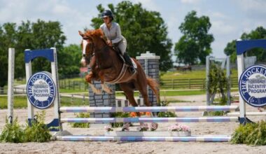 Thoroughbred Makeover Diary: Foundational Work Pays Off With First-Show Success