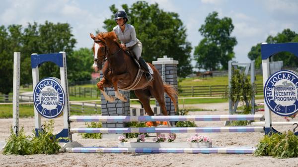 Thoroughbred Makeover Diary: Foundational Work Pays Off With First-Show Success