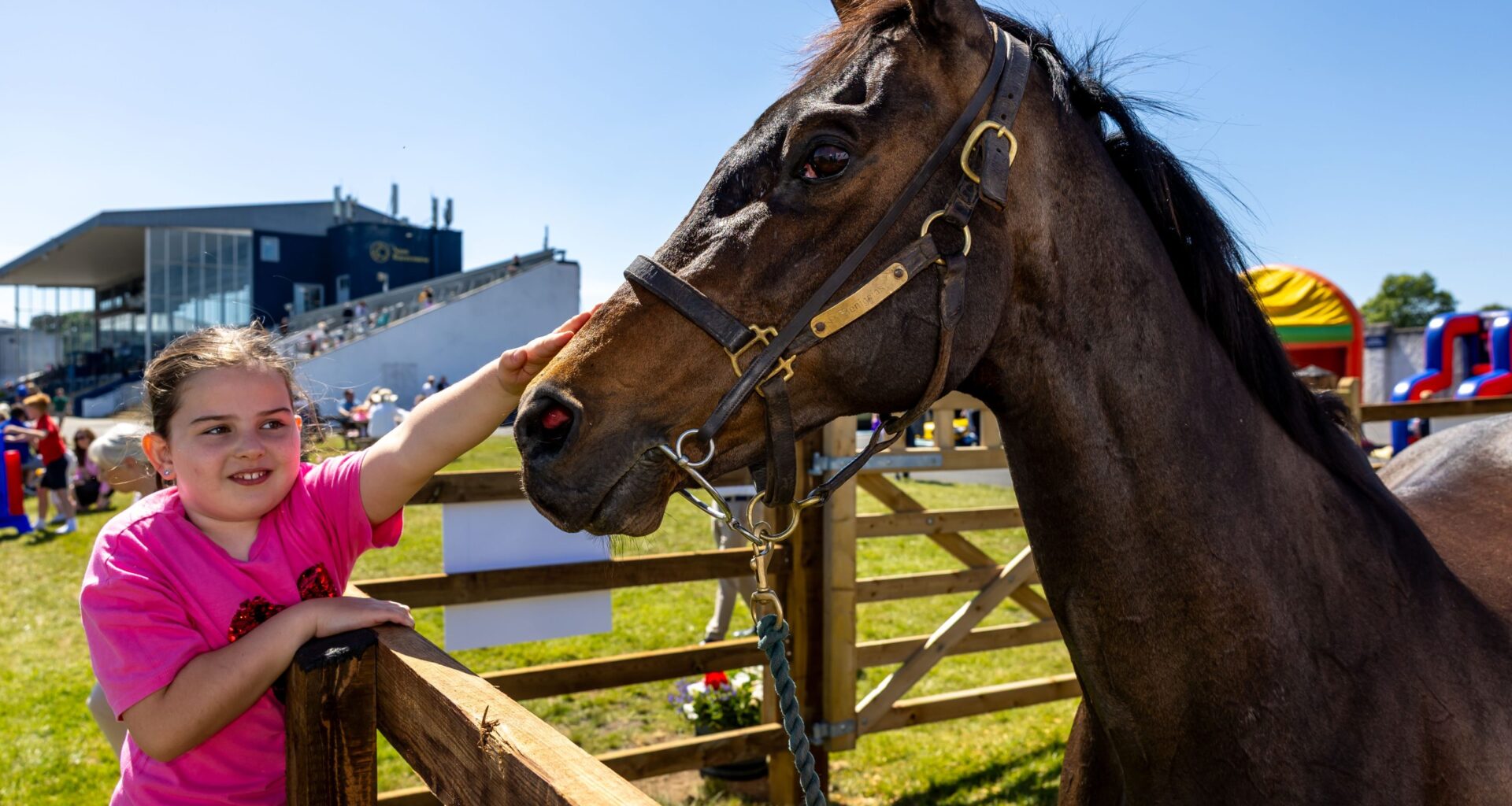 Ballyhane Stakes Day to Deliver Big Racing and Bigger Experiences at Naas Racecourse