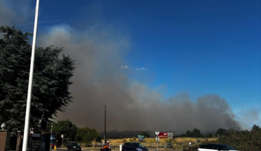 Wildfire spreads across 10 hectares as 80 firefighters battle major blaze in east London