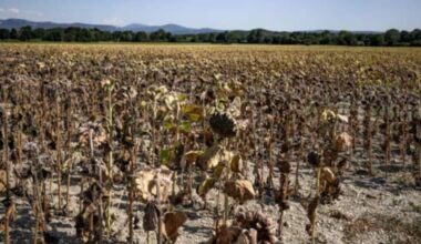 From Japan to Spain, and Pakistan to Nigeria, June hottest ever in 12 countries – Firstpost
