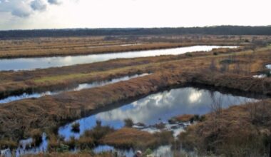National Nature Reserves open near Greater Manchester