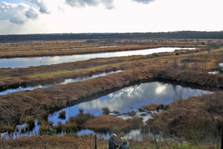 National Nature Reserves open near Greater Manchester