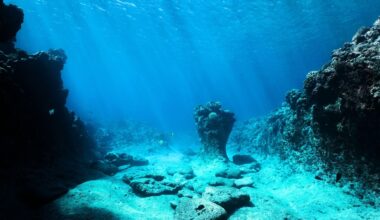Rocky Ocean Floor