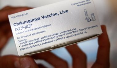 What is chikungunya? How to avoid debilitating virus while on holiday as cases rise in France