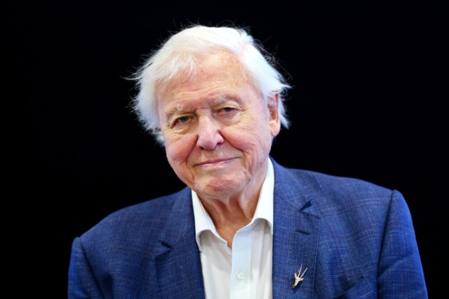 Sir David Attenborough wearing a blue suit and smiling at an event