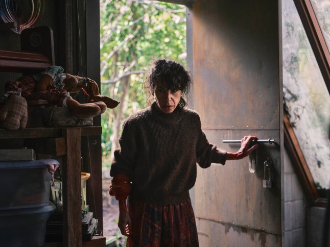 This image released by A24 shows Sally Hawkins in a scene from 