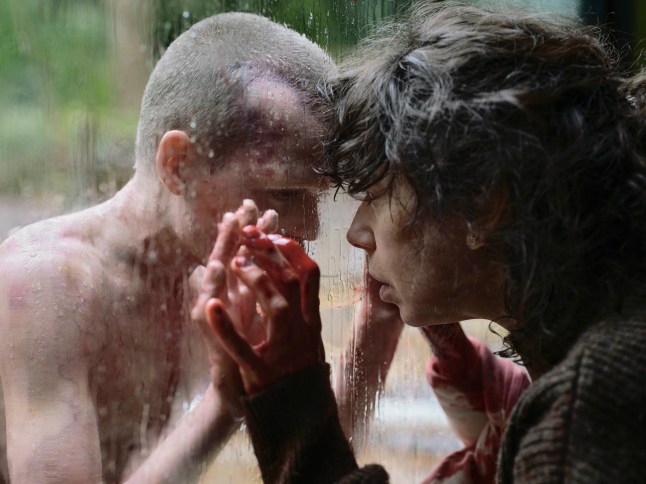 Jonah Wren Phillips as Oliver and Sally Hawkins as Laura press their foreheads together through a window in a scene from Bring Her Back