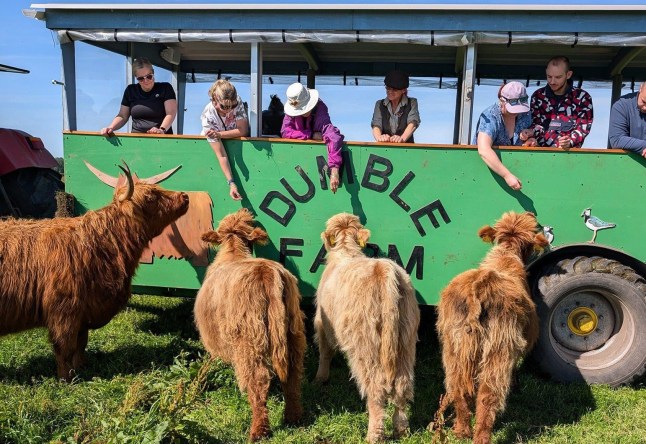 Dumble Farm