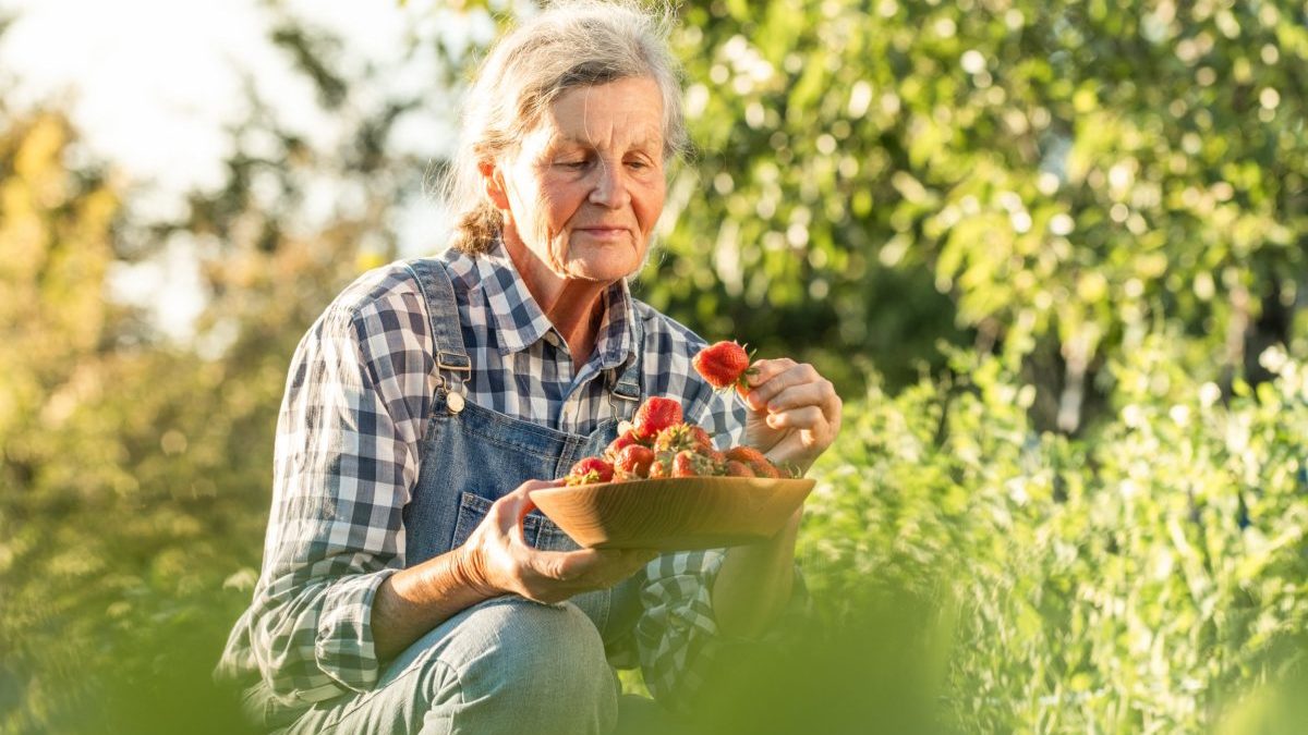 Nine foods the over-60s should eat every week