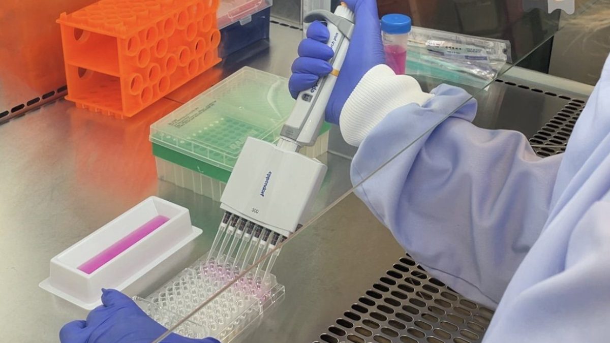 Chronic UTI patients could finally see new treatment on NHS