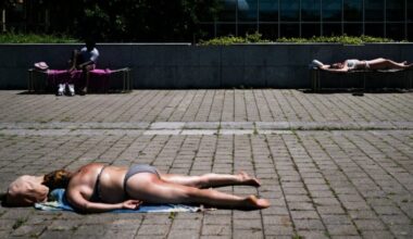 I have just got back from France – the heat is making holidays in Europe impossible