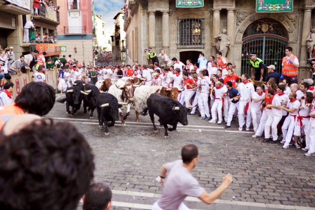 Pamplona, Spain - July 8, 2013: Unidentified men run from bulls in street Estafeta during San Fermin festival in Pamplona.