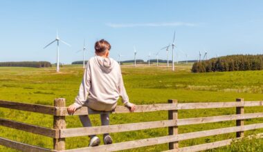 Could you get a wind turbine in your garden? Probably not